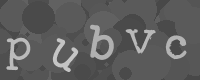 Please type the characters of this captcha image in the input box